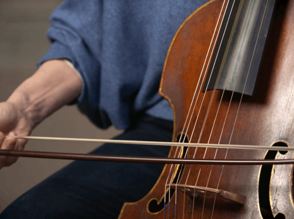 The viola da gamba